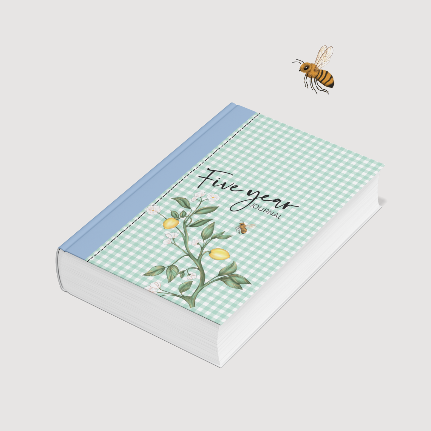 Five Year Journal